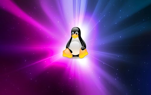 linux下如何实现快速拷贝大文件 (https://www.wpmee.com/) WordPress教程 第1张