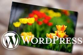 修改或删除WordPress后台底部”感谢使用WordPress进行创作”文字方法 (https://www.wpmee.com/) WordPress开发教程 第1张