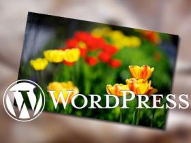 WordPress移动端底部添加菜单栏教程 (https://www.wpmee.com/) WordPress开发教程 第1张