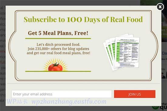 铅磁铁 - WPBeginner 铅磁铁