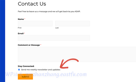 联系表格选择 - WPBeginner 联系表格选择
