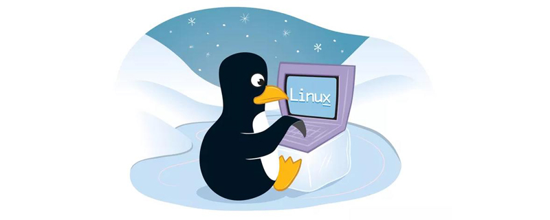 linux中退出vi编辑器，按下esc没反应怎么办？ (https://www.wpmee.com/) WordPress教程 第1张