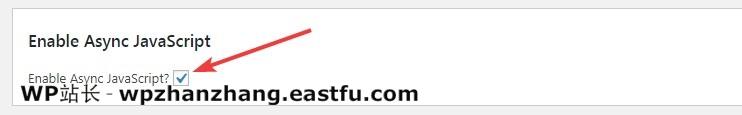 WordPress 速度优化的完整指南 60 启用异步JAVASCRIPT