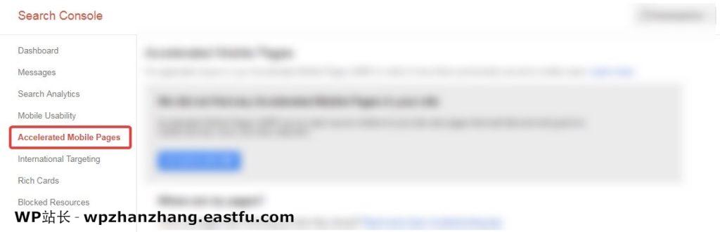WordPress 速度优化的完整指南 46 测试您的AMP