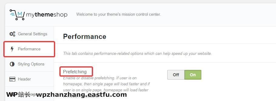 WordPress 速度优化的完整指南 71 MyThemeShop主题预取设置