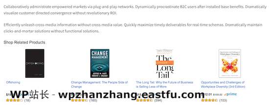 亚马逊广告示例 Amazon ads example