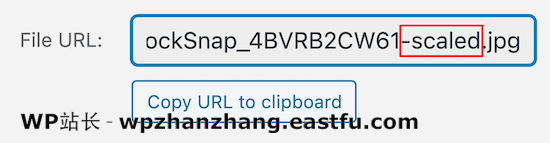 删除缩放的图像 URL Delete scaled image URL