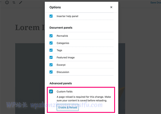 启用显示自定义字段 Enable display custom fields