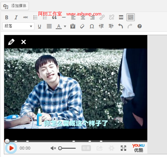 wordpress插入优酷视频