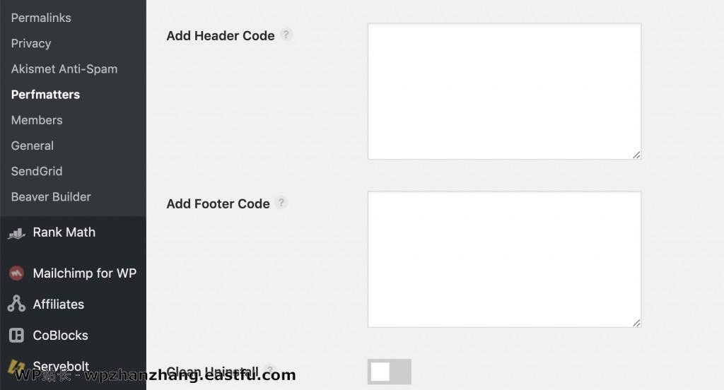 WordPress 速度优化的完整指南 44 perfmatters插入页眉和页脚