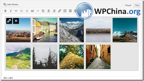 WordPress 3.9 相册预览