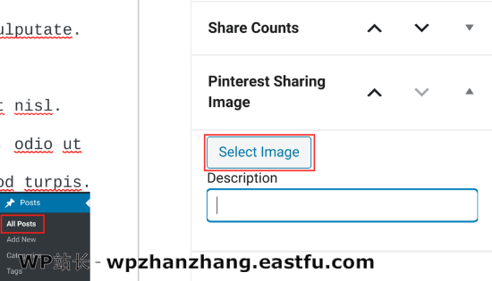 选择 Pinterest 隐藏图像 Select Pinterest hidden image