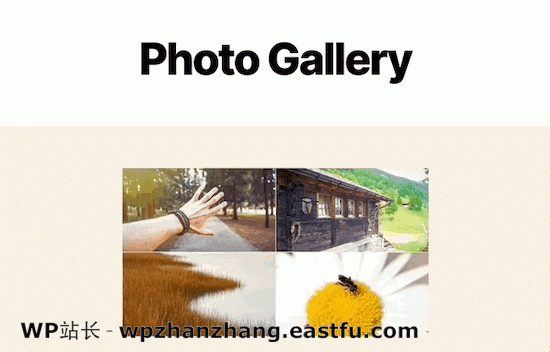 显示全尺寸图像灯箱 Show full size image lightbox effect