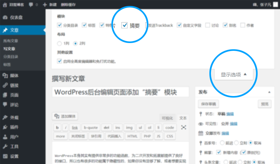 WordPress 后台页面显示“摘要”模块