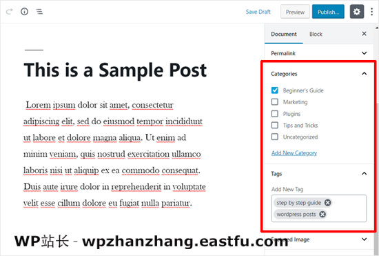 WordPress发布分类标签 WordPress发布分类标签