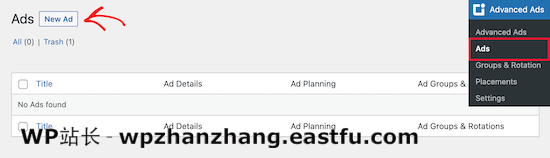 WP 高级广告添加新的 WP Advanced Ads add new