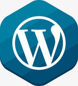 WordPress调用CSS最常用的方法有哪些？ (https://www.wpzt.net/) WordPress基础教程 第1张