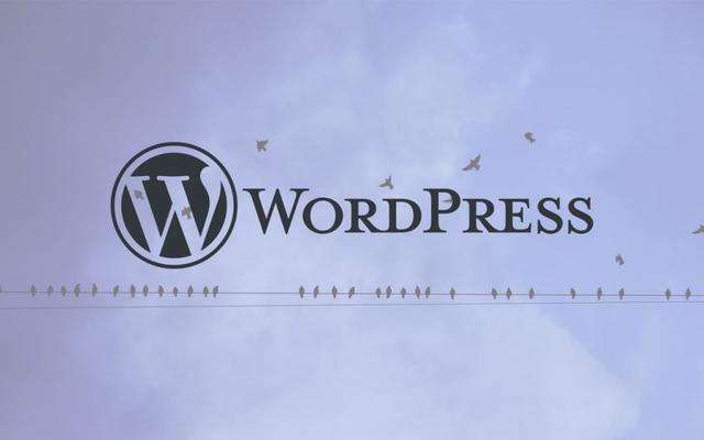 WordPress如何实现搜索某个关键词就包含某个关键词的分类？ (https://www.wpzt.net/) WordPress开发教程 第1张