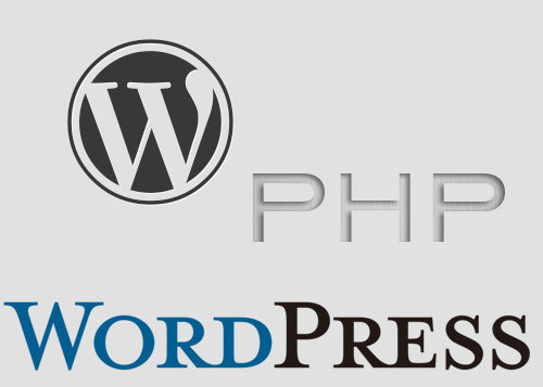 在WordPress文本小工具中运行PHP代码