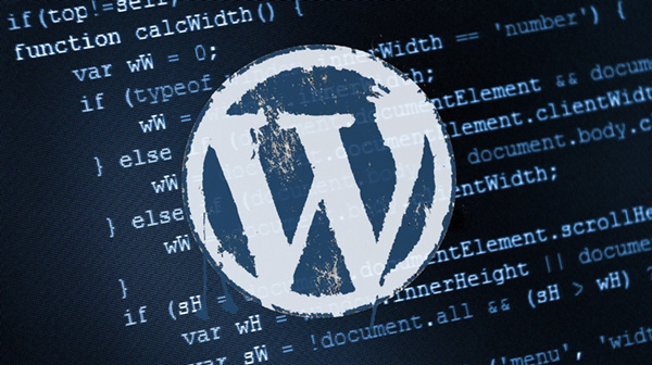 WordPress 代码