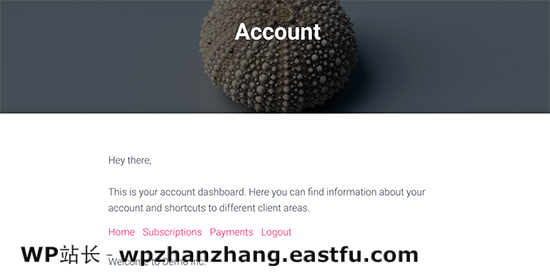 账户页面预览 Account page preview