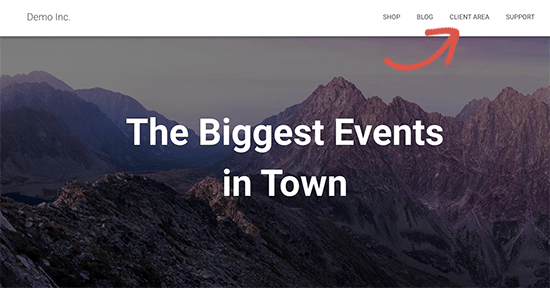 客户区 Client area