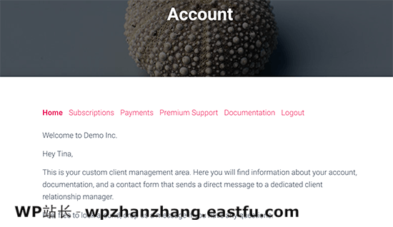 帐户页面上的客户特定消息 Client specific message on the account page