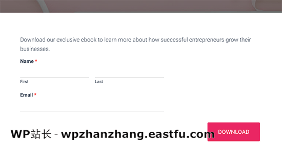 表格预览 Form preview