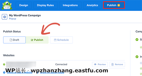 发布活动 Publish campaign