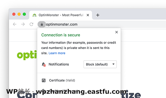 初学者的终极WordPress SEO教程(入门指导) 18 受SSL和HTTPS保护的站点