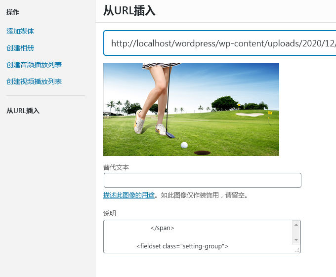 解决WordPress 5.6 “从URL插入”图片BUG