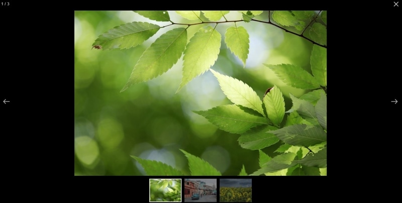 wordpress幻灯片查看相册