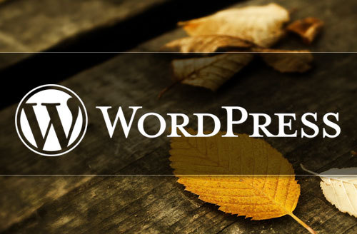 检查用户是否登录WordPress教程 (https://www.wpzt.net/) WordPress基础教程 第1张