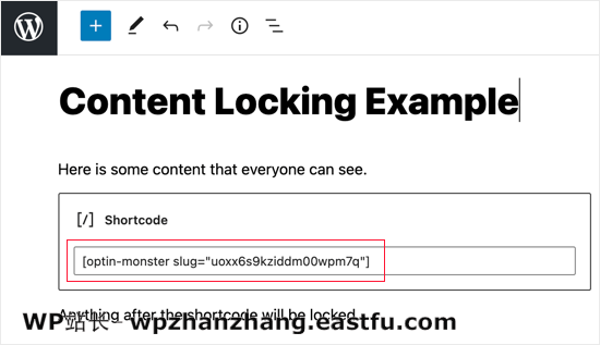如何在WordPress网站中增加内容锁定保护(2种方法) 13 在锁定内容之前粘贴短代码