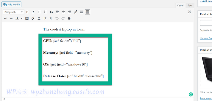 如何在 WooCommerce 产品页添加自定义字段 11 放置短代码