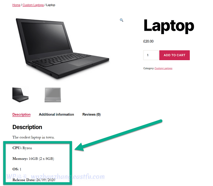 如何在 WooCommerce 产品页添加自定义字段 13 前端产品