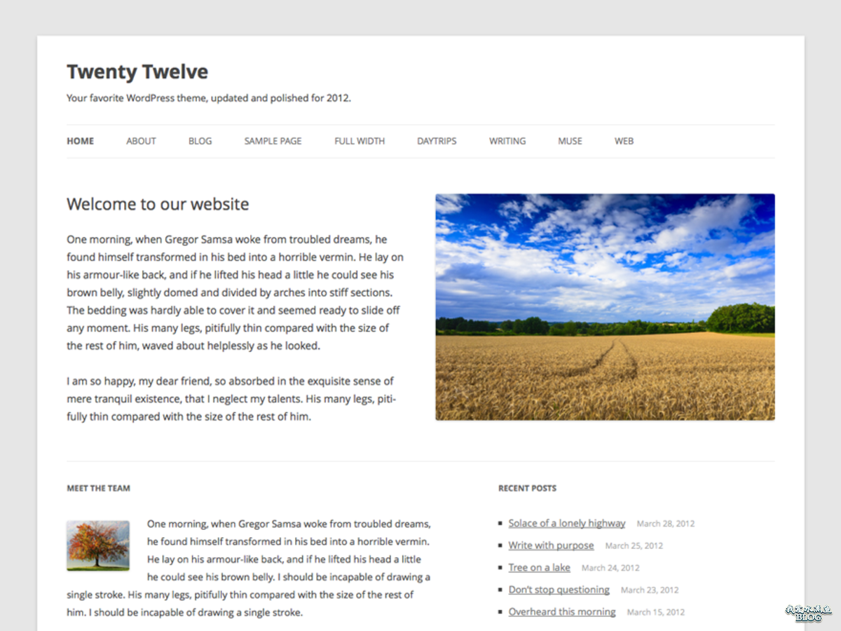 WordPress 3.5 新增的默认主题： Twenty Twelve（2012）