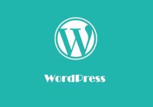 WordPress网站防止暴露用户名的WordPress 技巧是什么？ (https://www.wpmee.com/) WordPress使用教程 第1张