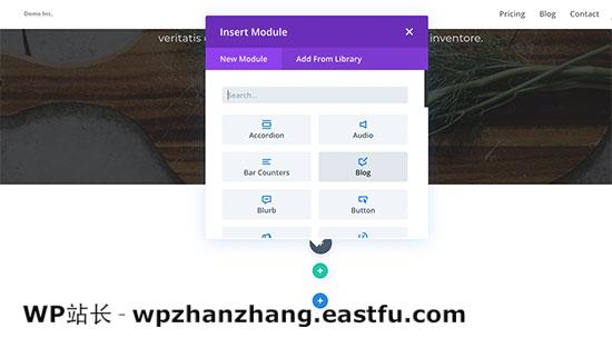 Adding modules to your page 如何使用WordPress制作落地页 31