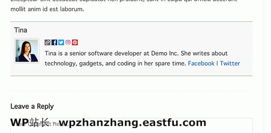 Author info box plugin preview Author info box plugin preview