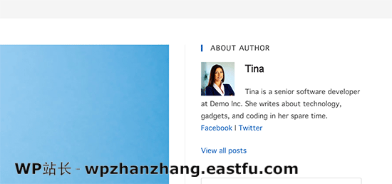 Author bio box widget Author bio box widget