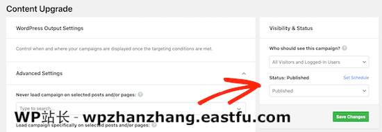 使 OptinMonster 表单可见 Make OptinMonster form visible