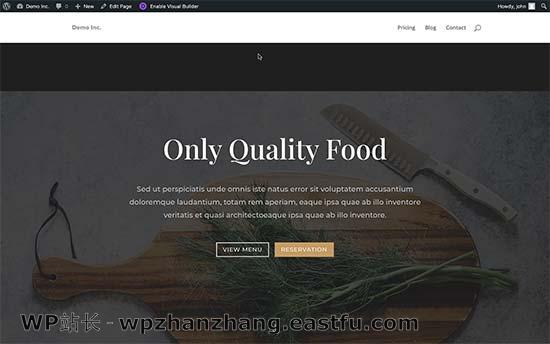 Divi landing page preview 如何使用WordPress制作落地页 35