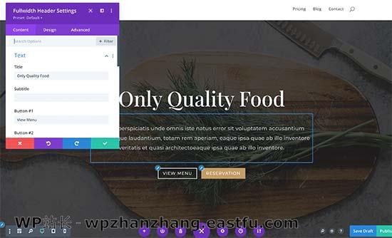 Divi visual page builder 如何使用WordPress制作落地页 29