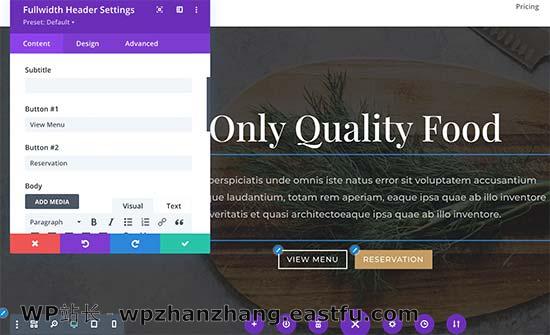 Editing elements in Divi 如何使用WordPress制作落地页 30
