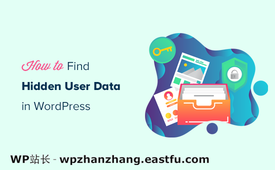 在 WordPress 中查找隐藏的用户数据 查找隐藏的 WordPress 用户数据以发展您的业务的 9 个技巧
