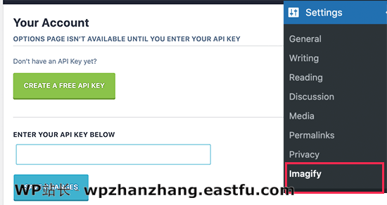 创建 Imagify API 密钥 Create Imagify API key