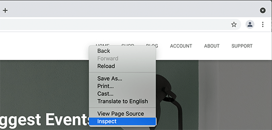 检查工具 Inspect tool