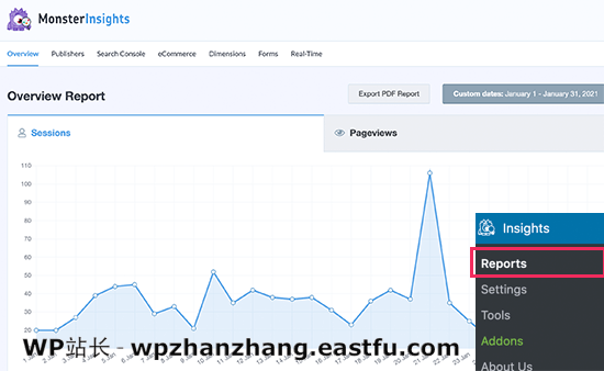 MonsterInsights 报告仪表板 MonsterInsights reporting dashboard