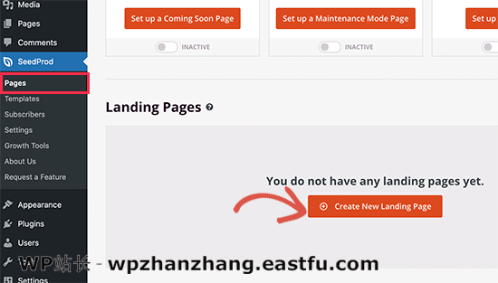Create a new landing page 如何使用WordPress制作落地页 2